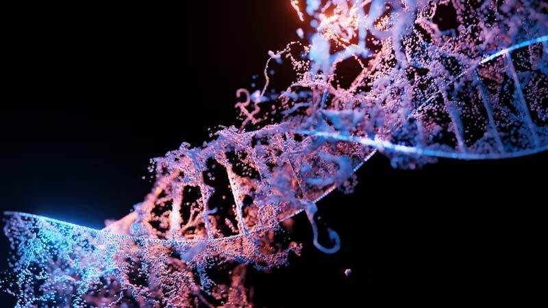 Breaking new ground: our longest DNA construct yet